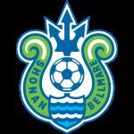 主队湘南海洋LOGO